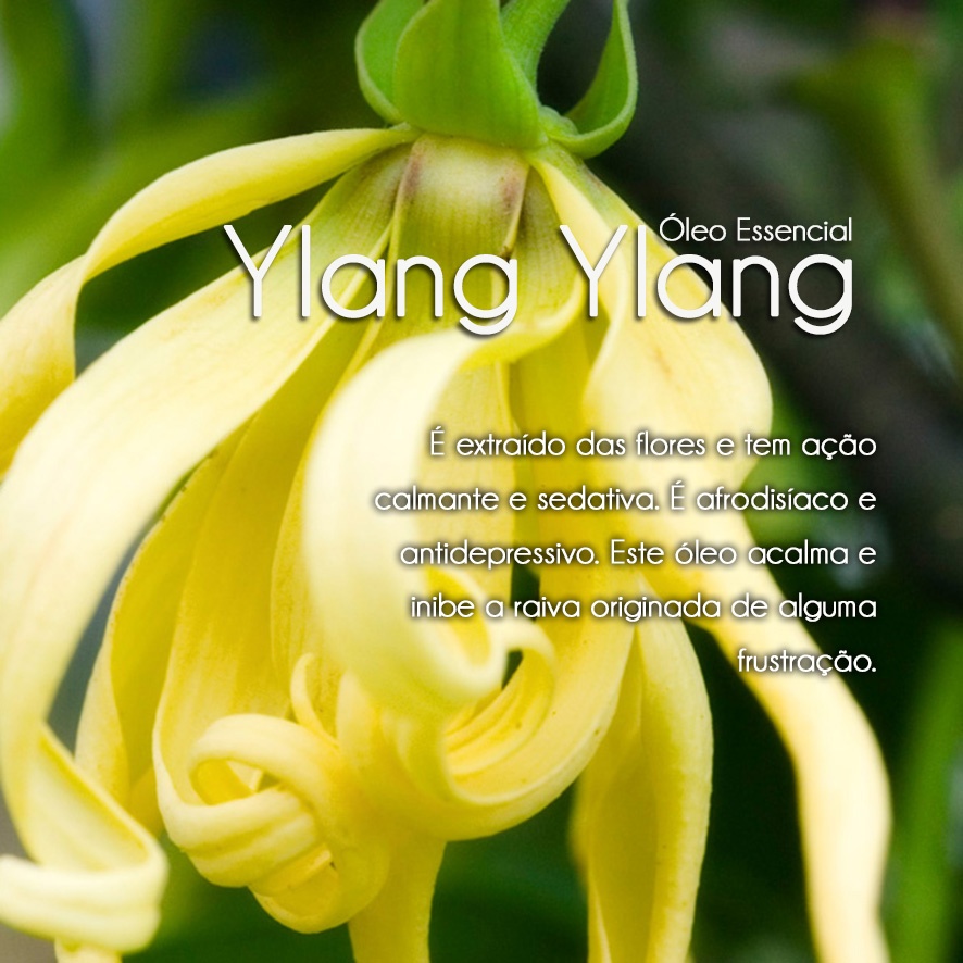 Óleo Essencial Ylang Ylang /Cosmético (5ml)