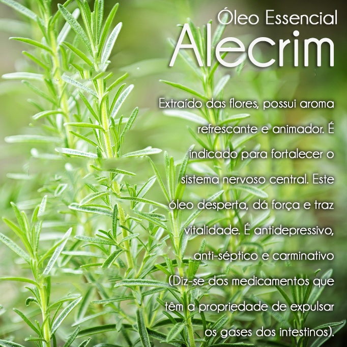 Óleo Essencial Alecrim/Cosméticos (10ml)