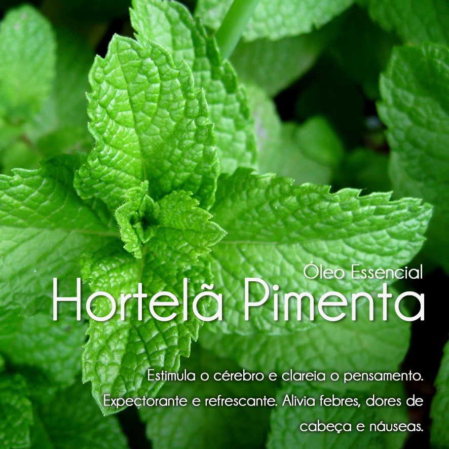 Óleo Essencial Hortelã-Pimenta/Cosmético (10ml)